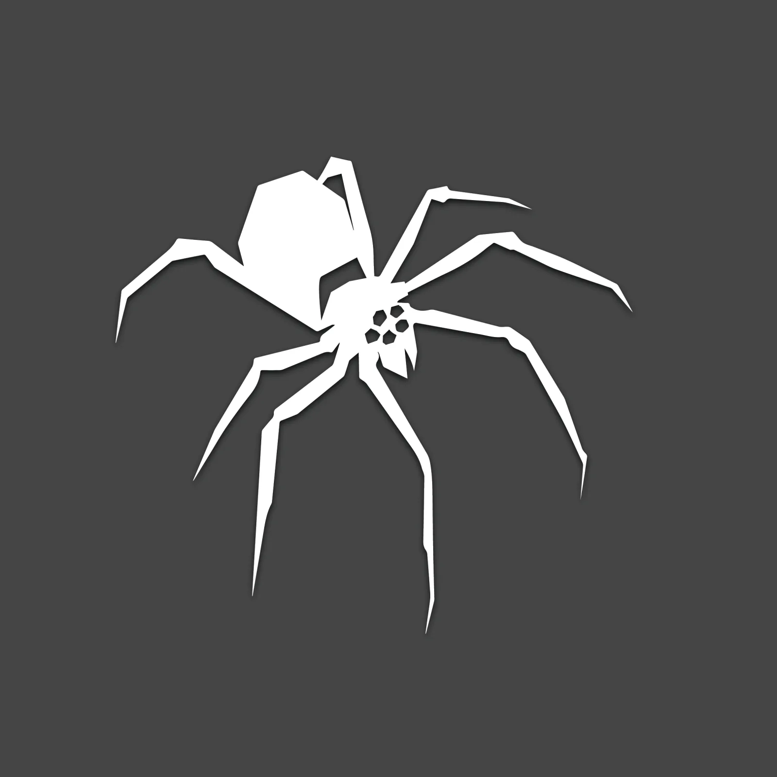 Spider team logo